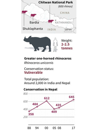 nepal rhinos on loose