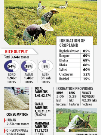 rice_output.jpg