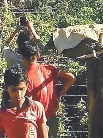 rohingya