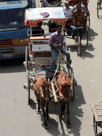 The King's Carriage