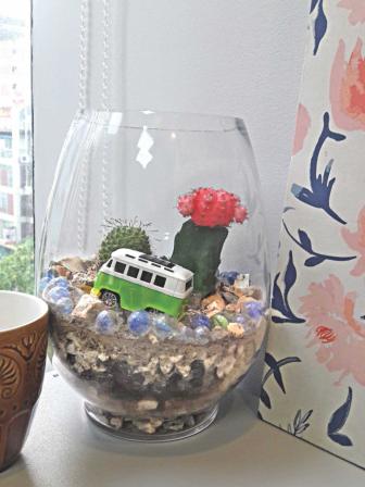 the_top_down_on_terrariums_3.jpg