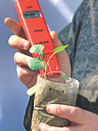 tree_doctor10.jpg