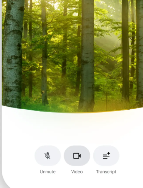 Google search live