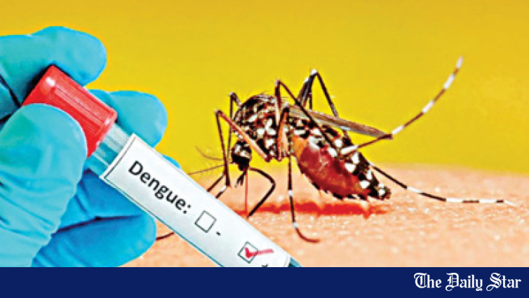 Índia aprova primeira vacina contra dengue Índia aprova primeira vacina contra dengue
