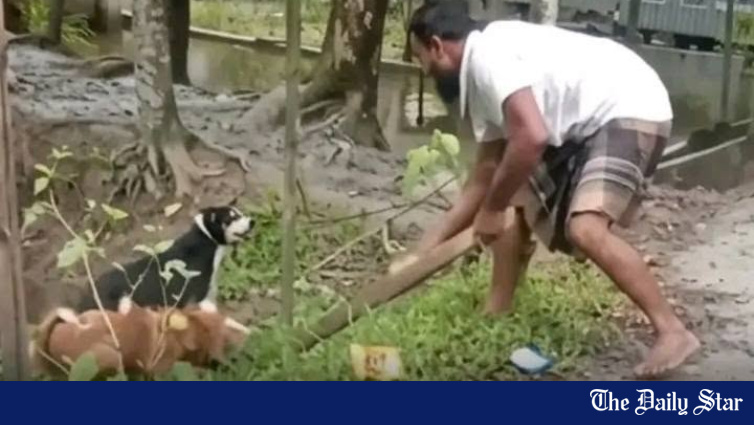 Patuakhali court orders arrest of 2 men accused of beating dogs to death