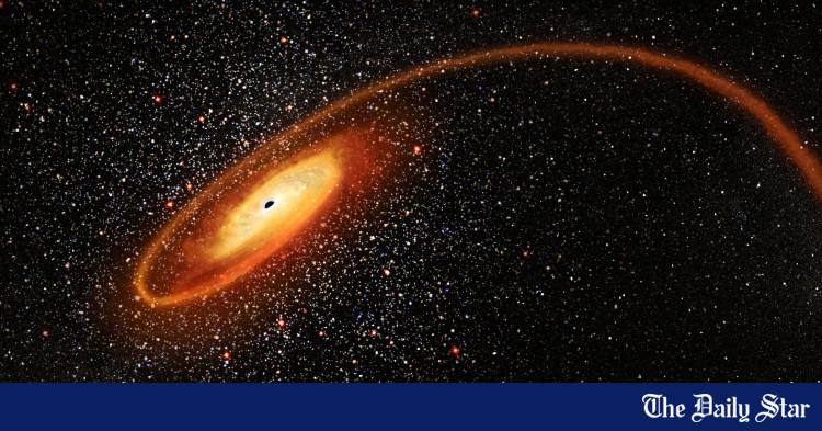 www.thedailystar.net