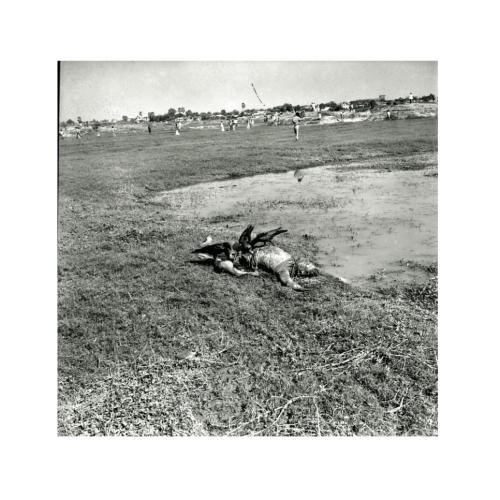 5._raayyerbaajaar_bdhybhuumi.jpg