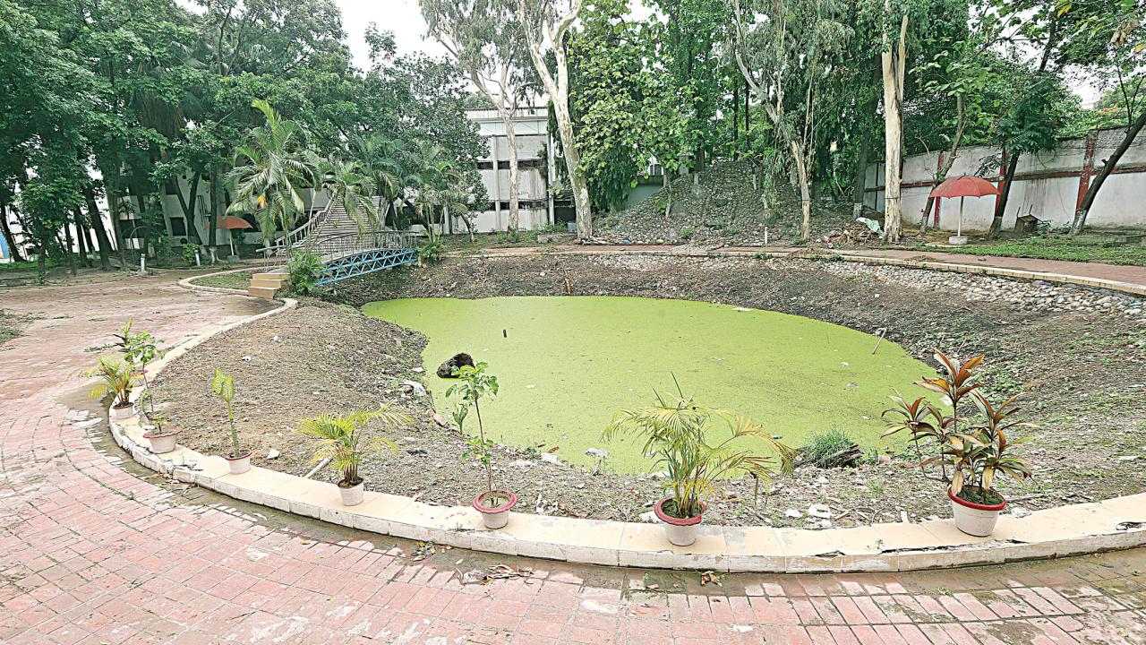 bangladesh-film-development-corporation-4.jpg