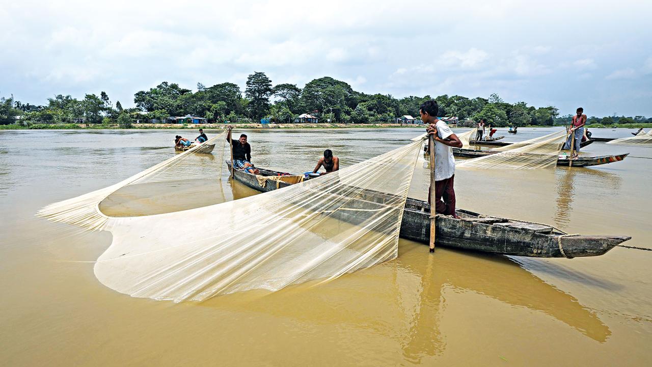 halda-5.jpg
