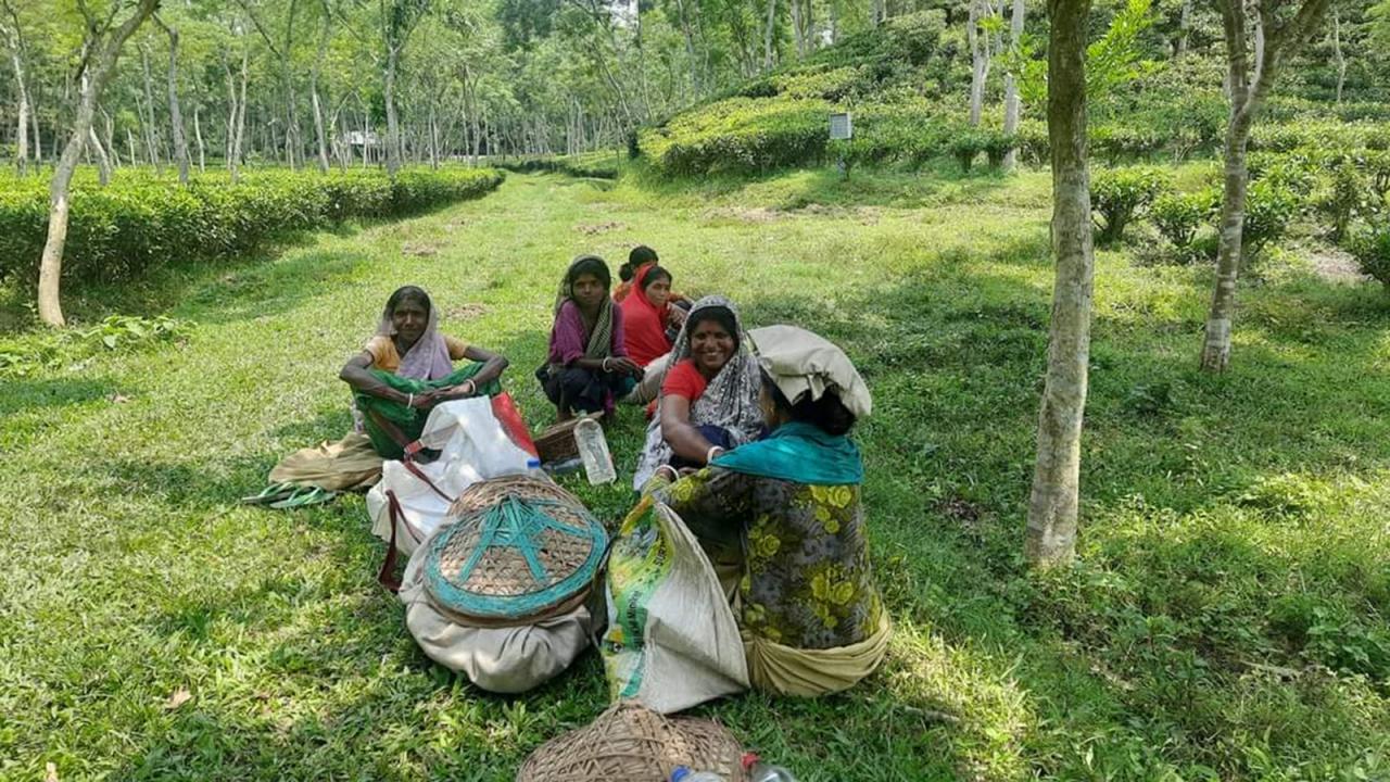photo_3.jpg