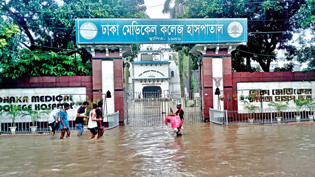 waterlogging6.jpg
