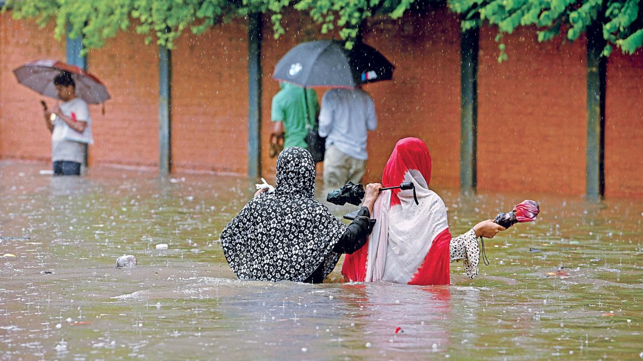 waterlogging9.jpg