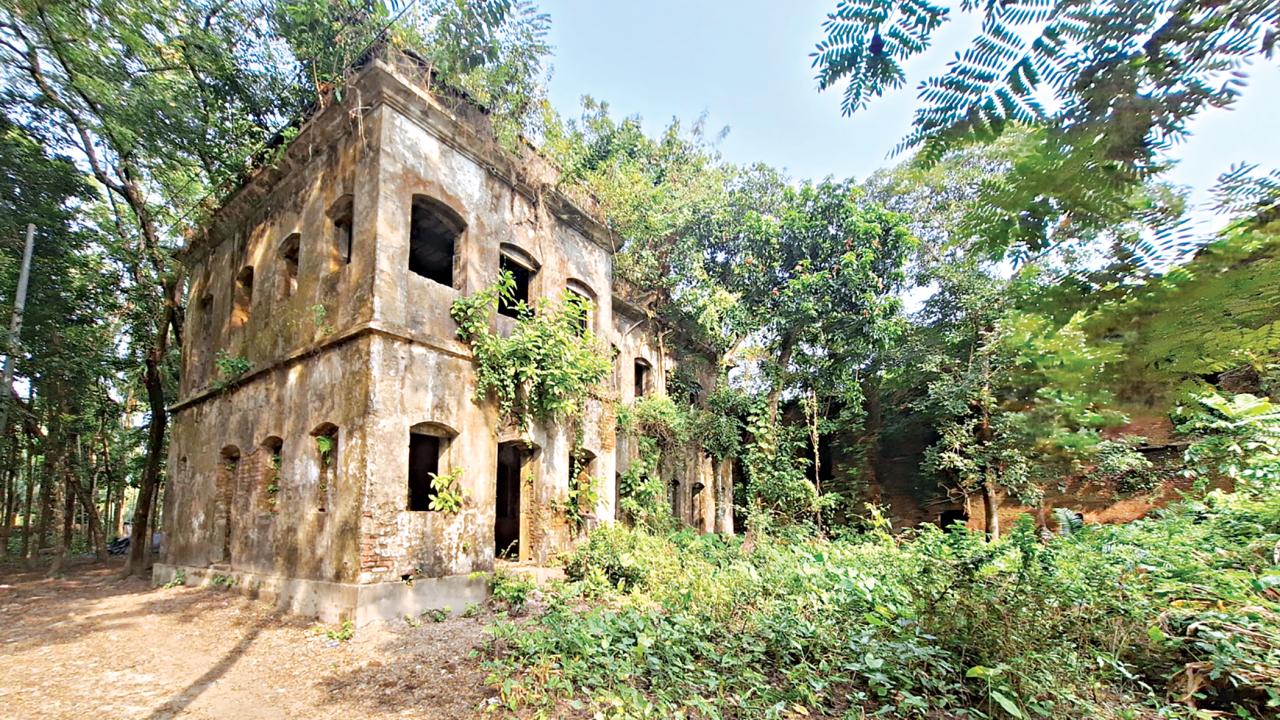 kirtipasha-zamindar-palace3.jpg
