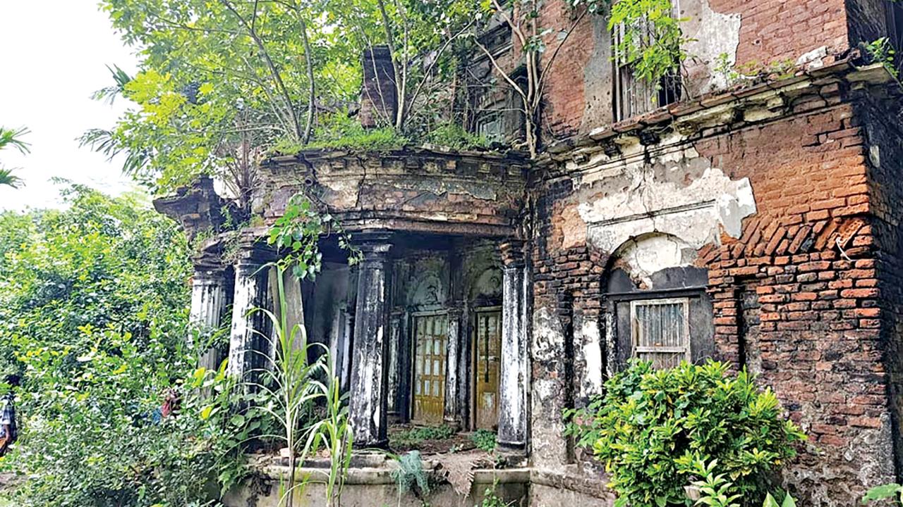 pabna1.jpg