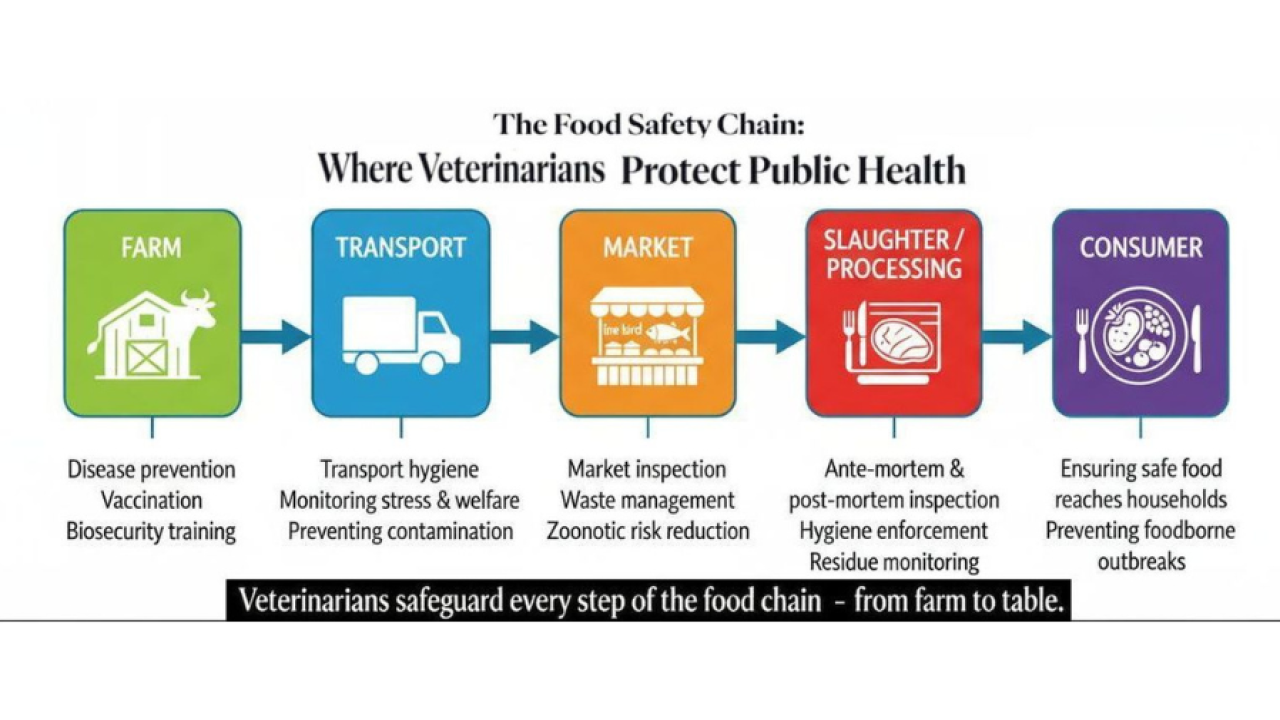 untitled_design.png